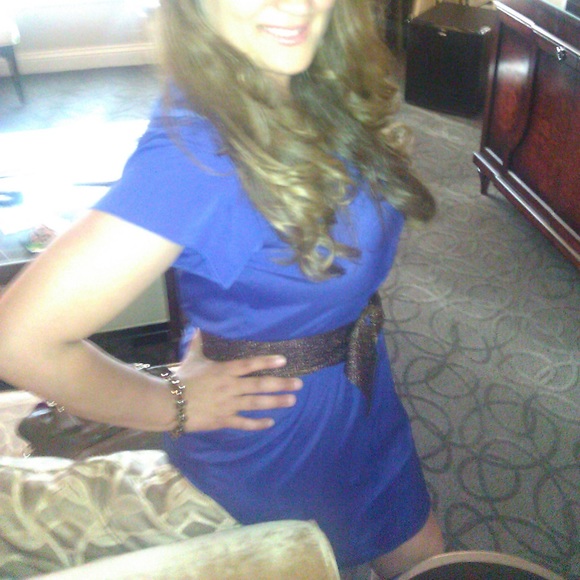 Banana Republic Women’s Blue Short-Sleeved Cinched Waist Dress Size 10 - Picture 10 of 10